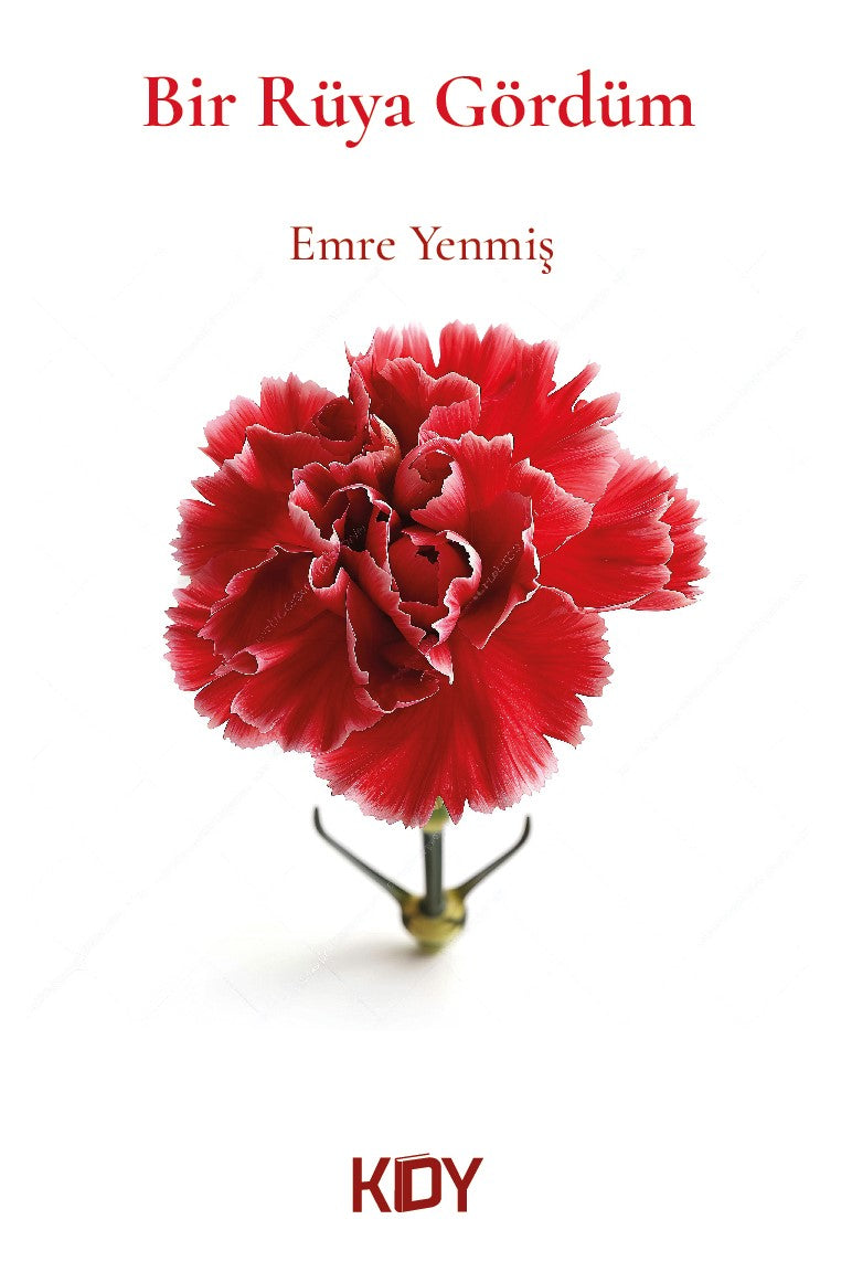 Bir Rüya Gördüm - Emre Yenmiş kitap kapağı