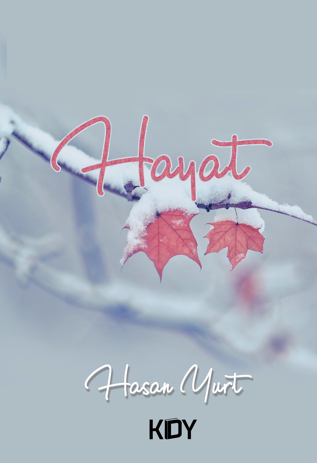 Hayat - Hasan Yurt kitap kapağı