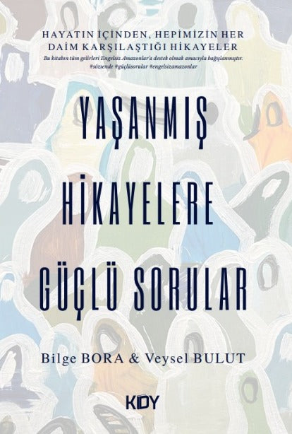 Yaşanmış Hikayelere Güçlü Sorular - Veysel Bulut kitap kapağı