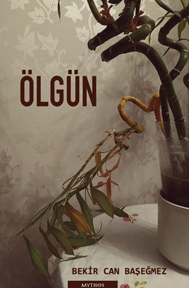 Ölgün - Bekir Can Başeğmez kitap kapağı