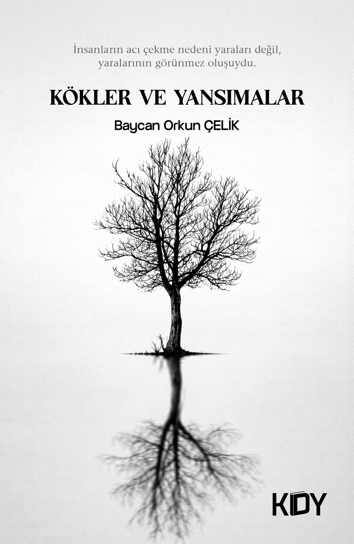 Kökler ve Yansımalar - Baycan Orkun Çelik kitap kapağı