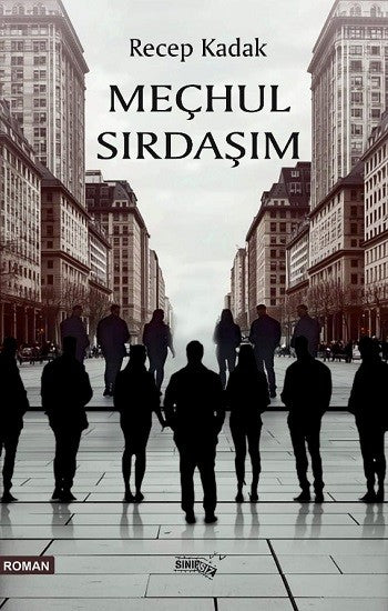 Meçhul Sırdaşım - Recep Kadak kitap kapağı