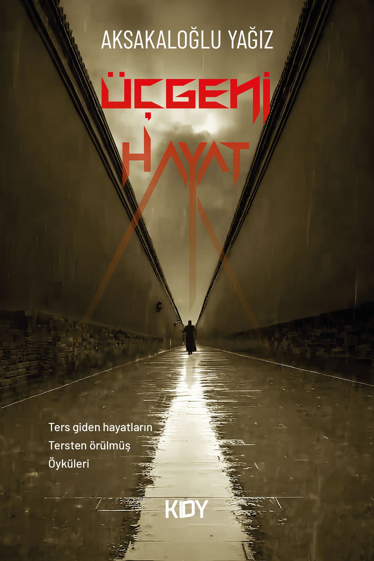 Üçgeni Hayat - Yağız Aksakaloğlu kitap kapağı