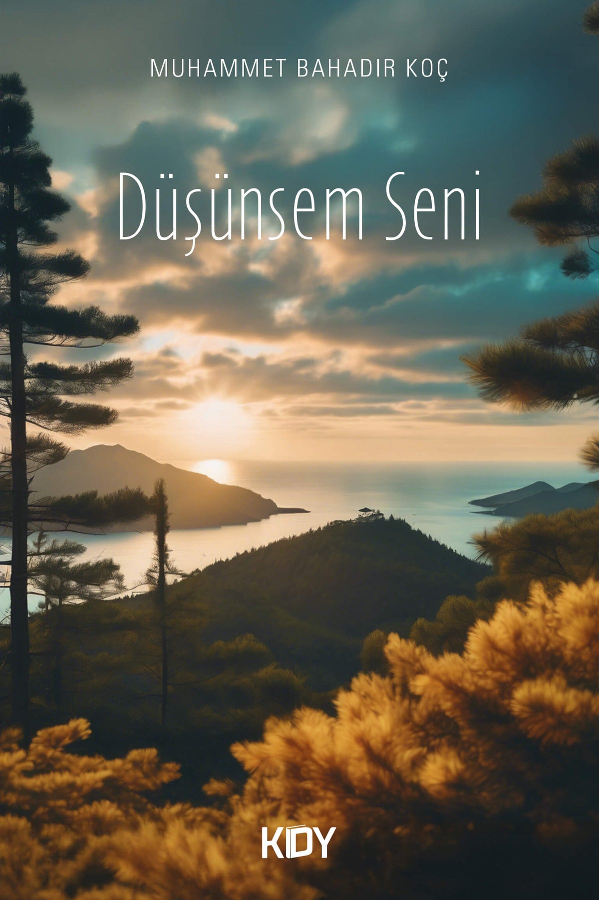 Düşünsem Seni - Muhammet Bahadır Koç kitap kapağı