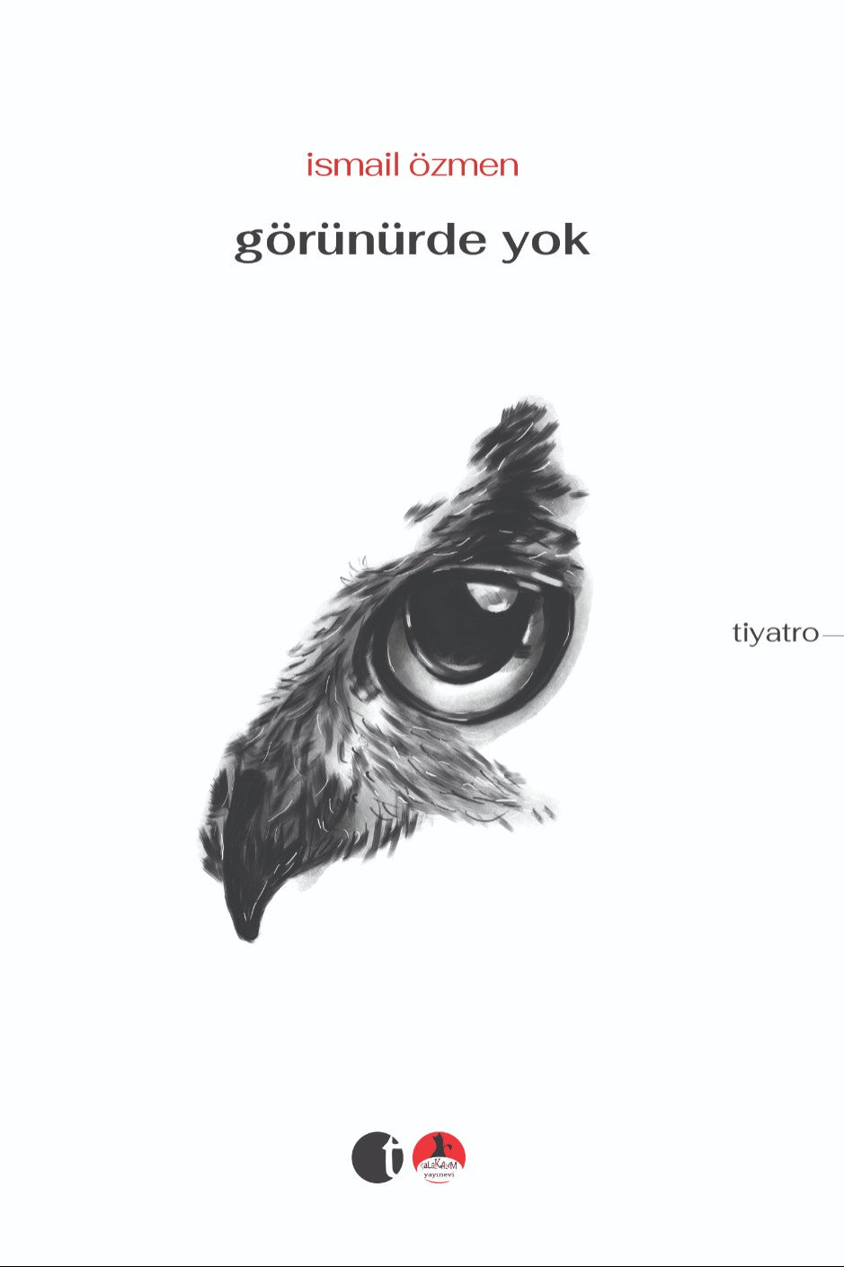 Görünürde Yok - İsmail Özmen kitap kapağı