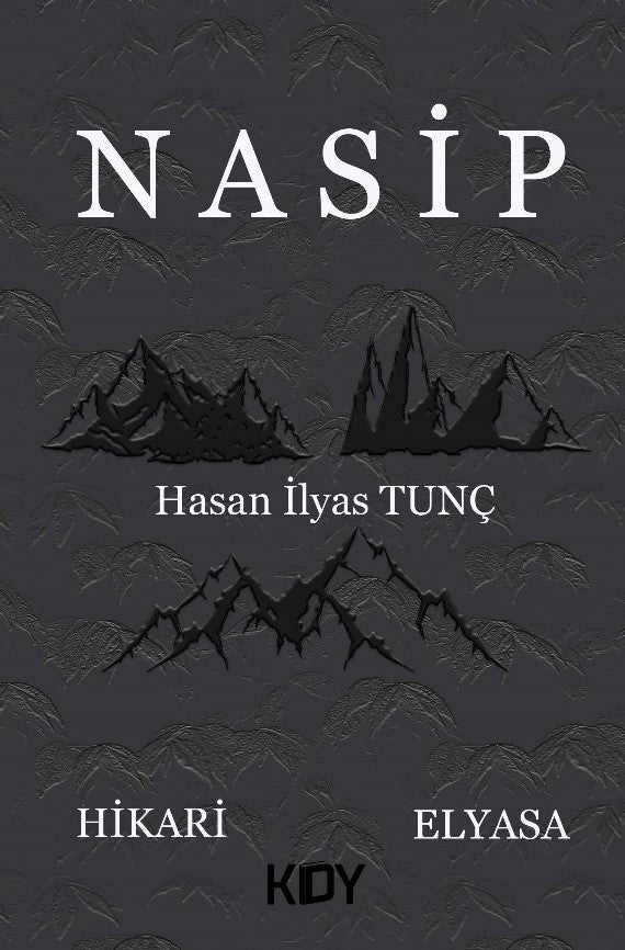 Nasip - Hasan İlyas Tunç kitap kapağı