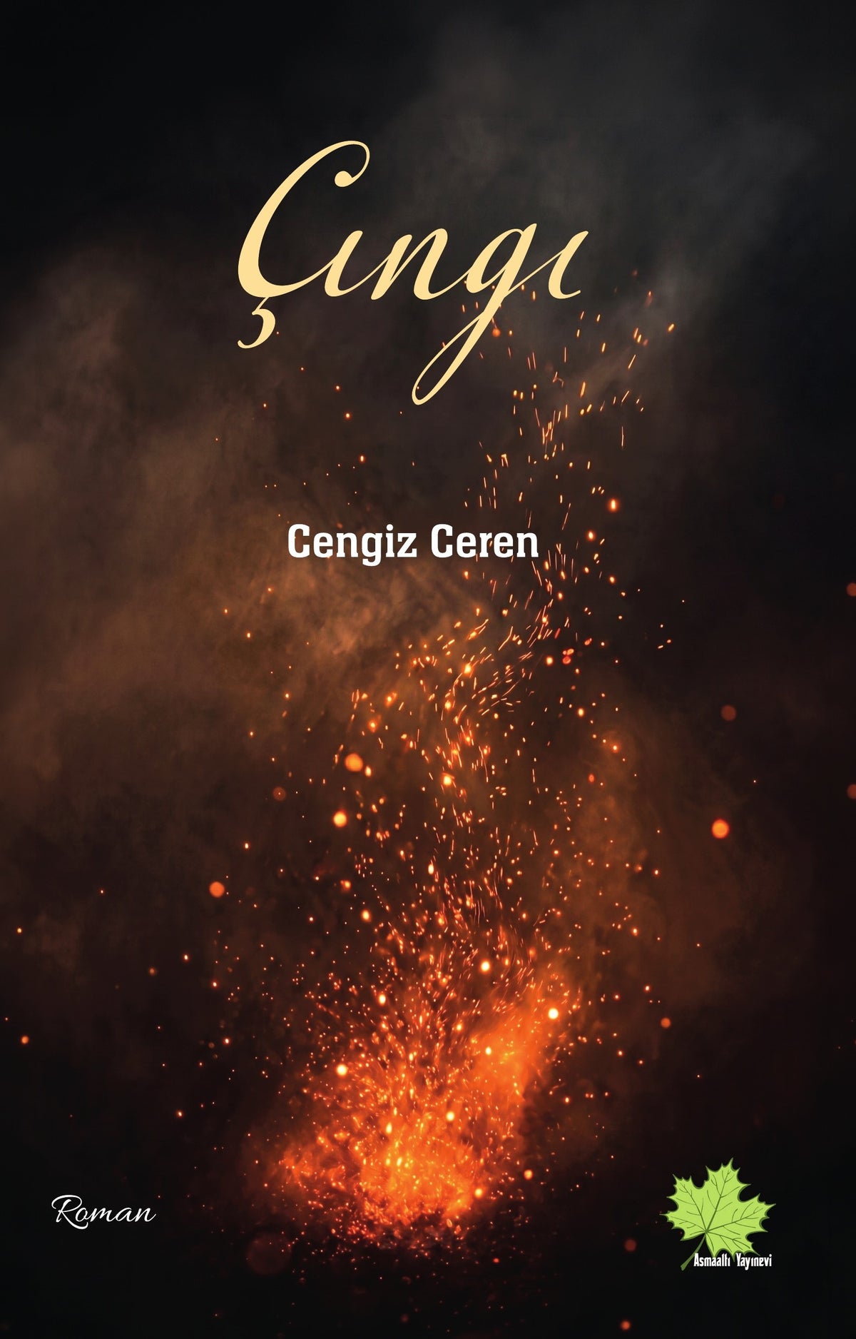 Çıngı - Cengiz Ceren kitap kapağı