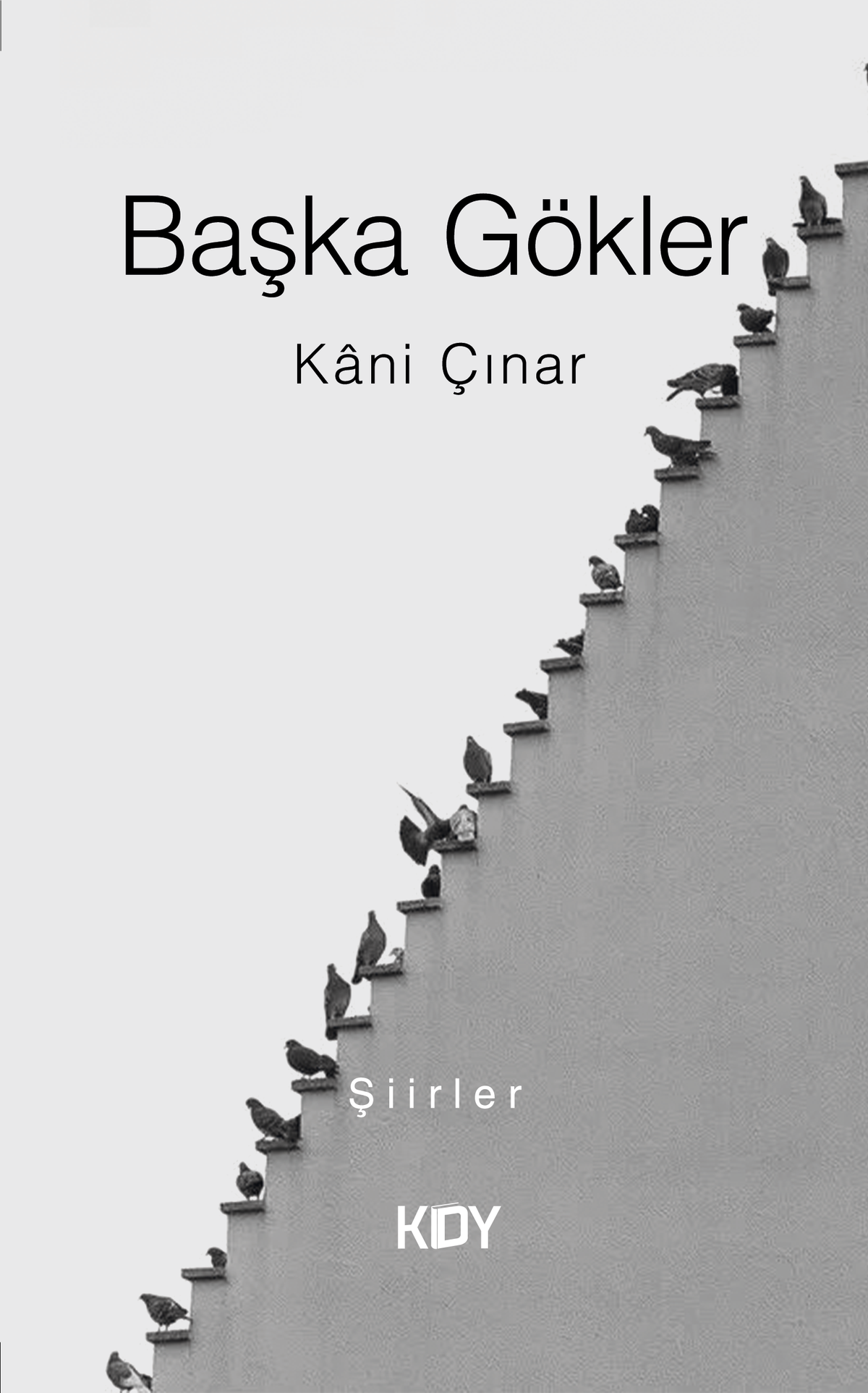 Başka Gökler - Kani Çınar kitap kapağı