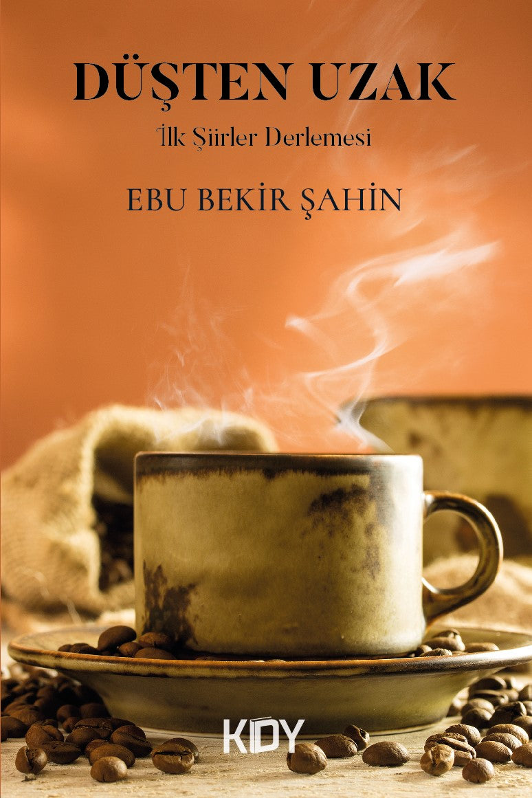 Düşten Uzak - Ebu Bekir Şahin kitap kapağı