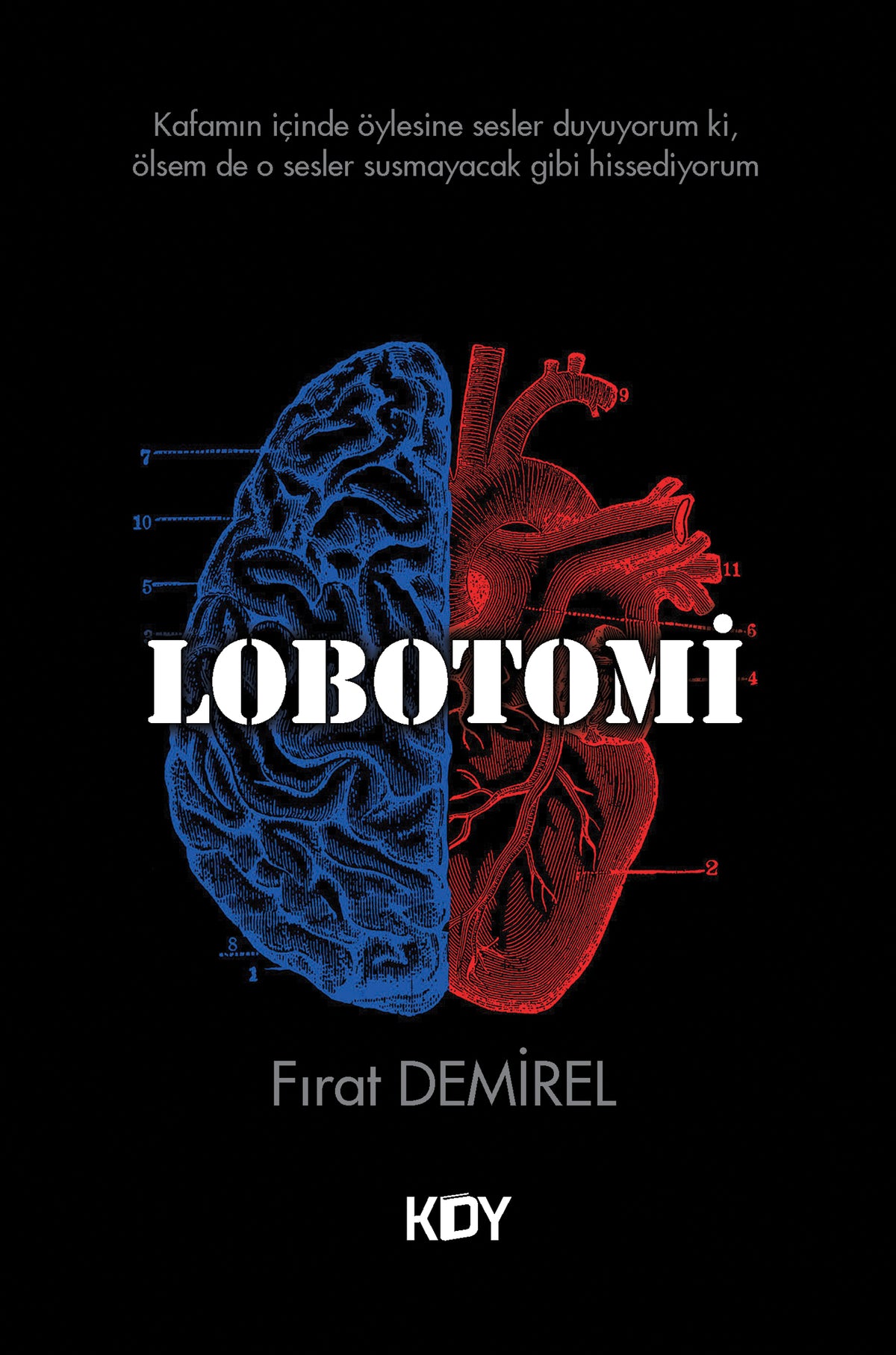 Lobotomi - Fırat Demirel kitap kapağı