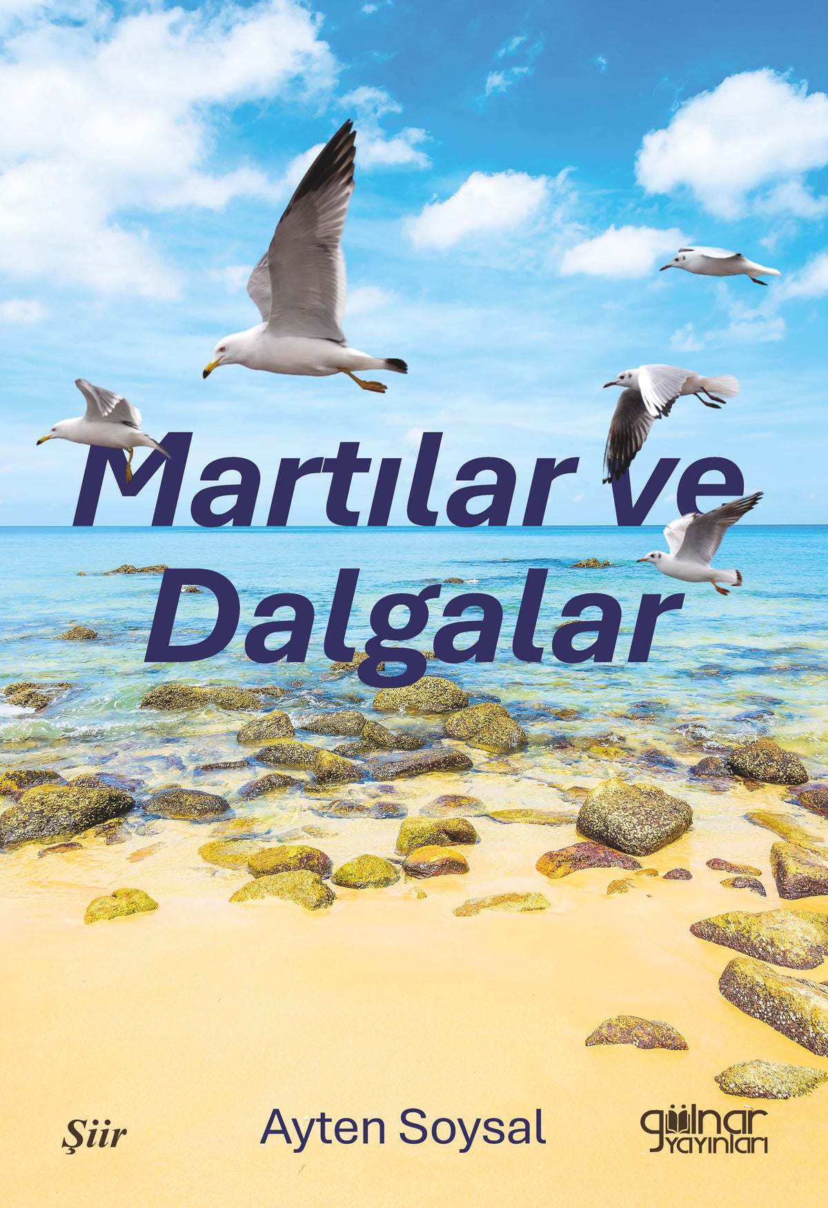 Martılar ve Dalgalar - Ayten Soysal kitap kapağı