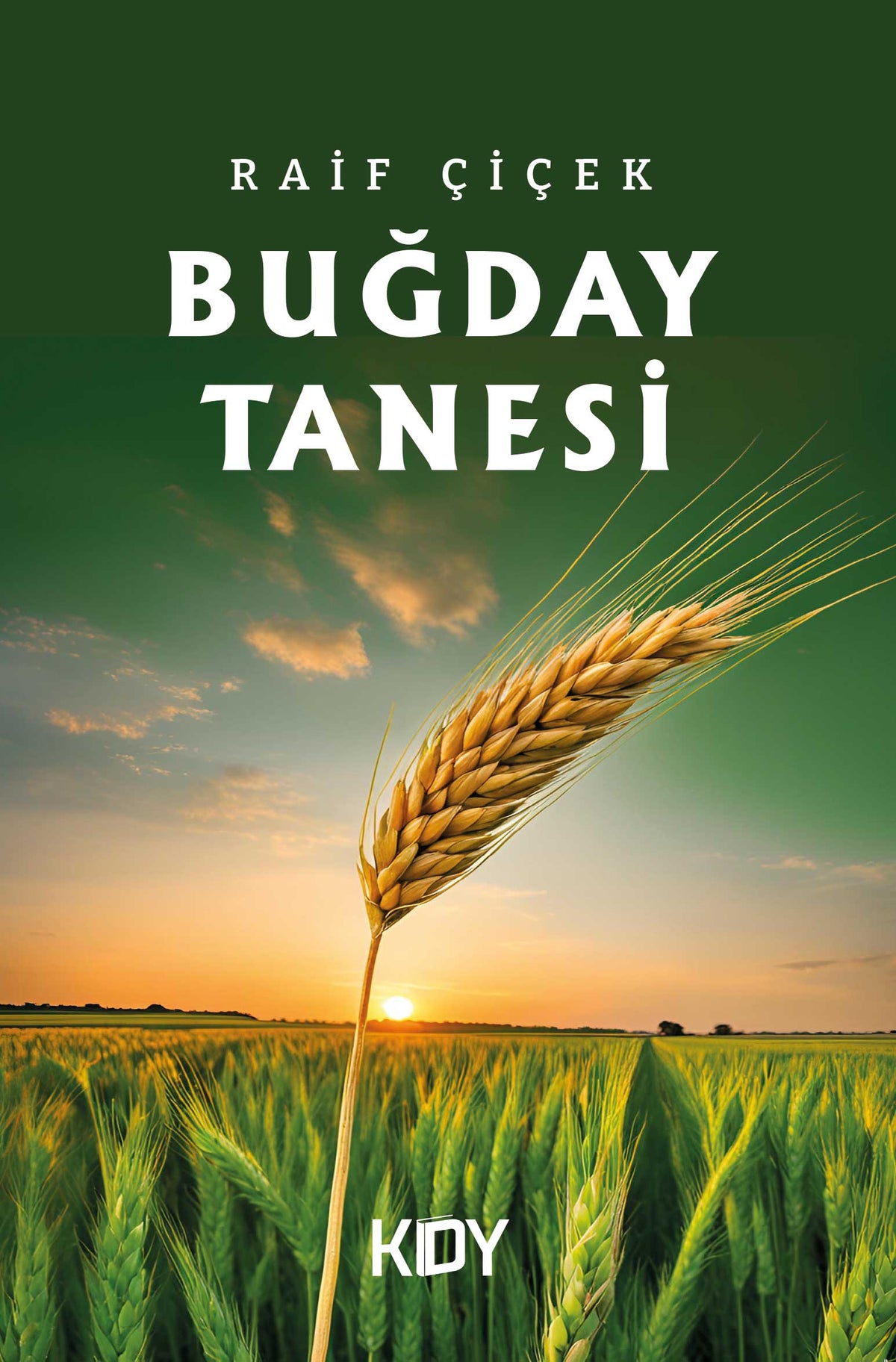 Buğday Tanesi - Raif Çiçek kitap kapağı
