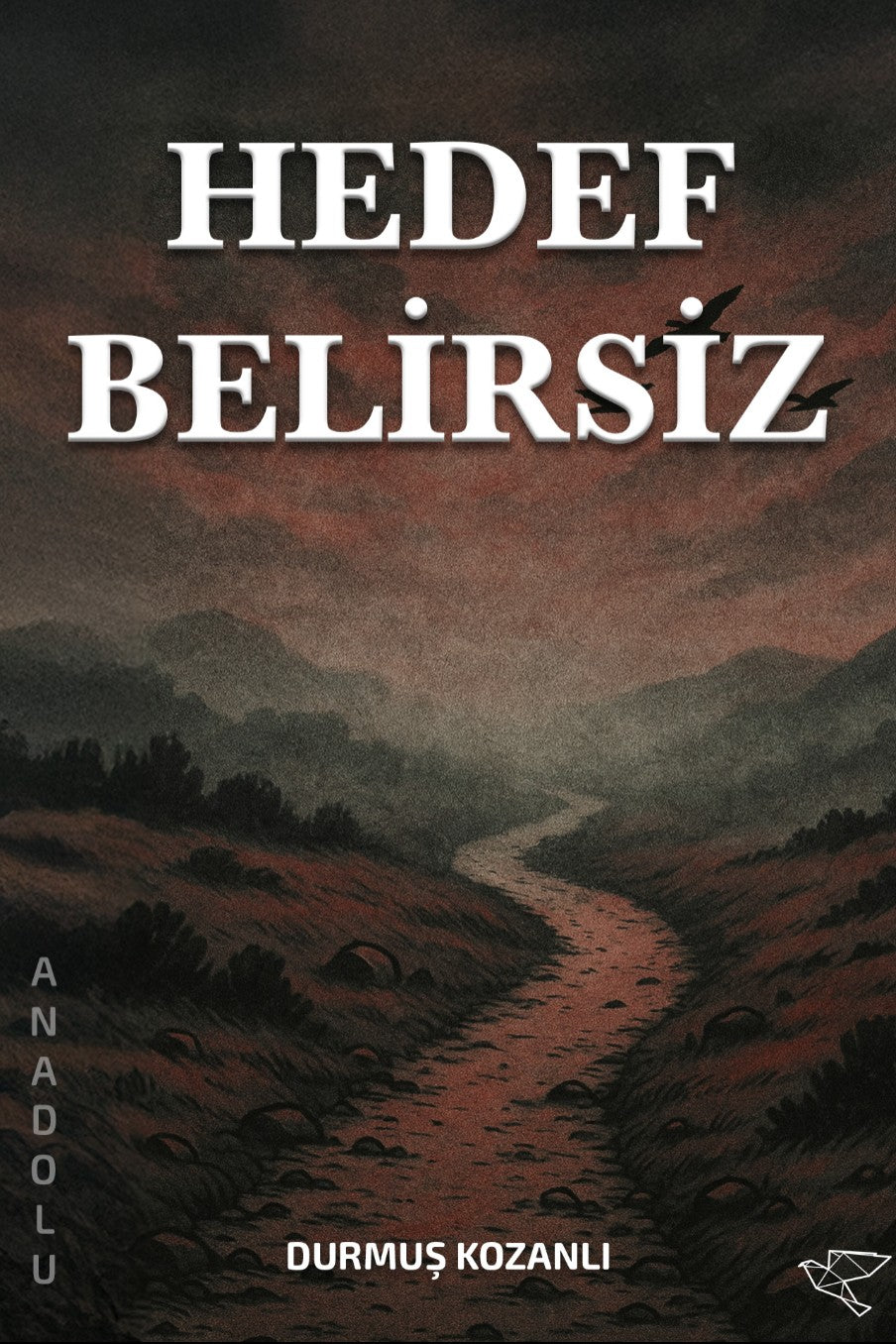 Hedef Belirsiz - Durmuş Kozanlı kitap kapağı