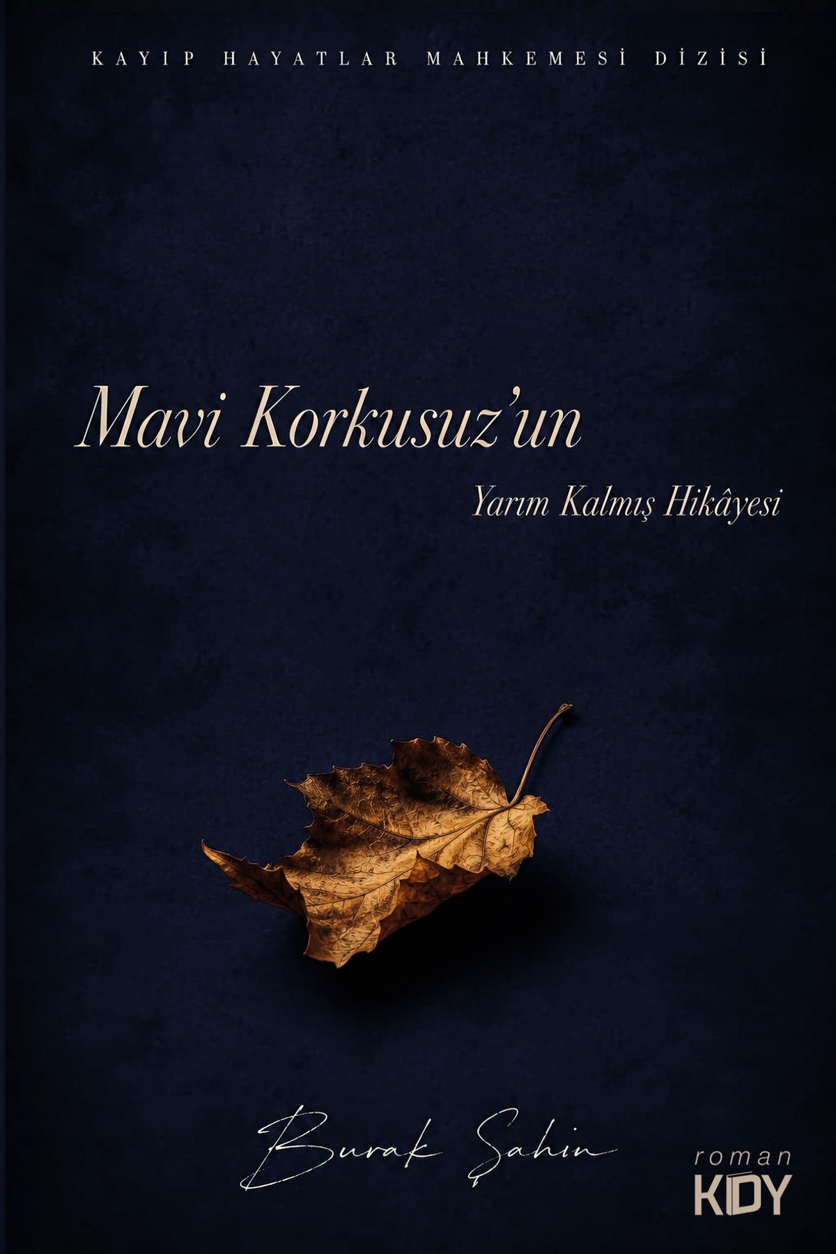 Mavi Korkusuz'un Yarım Kalmış Hikayesi - Burak Şahin kitap kapağı