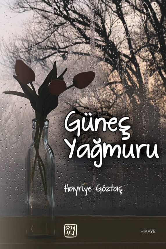 Güneş Yağmuru - Hayriye Göztaş kitap kapağı