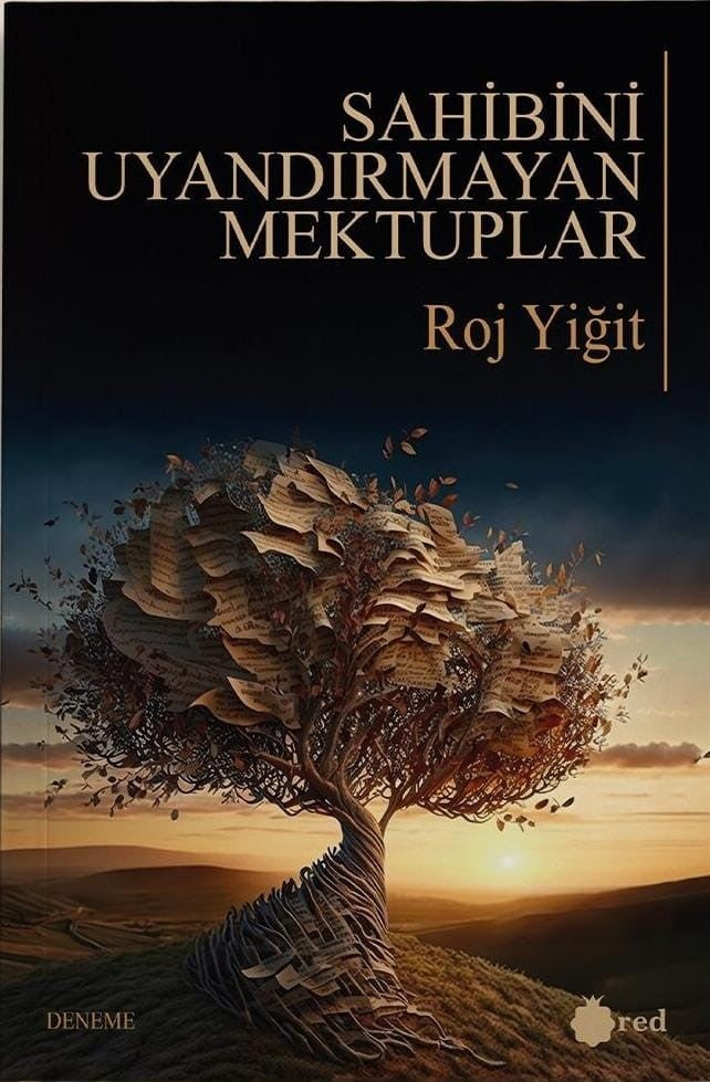 Sahibini Uyandırmayan Mektuplar - Roj Yiğit kitap kapağı