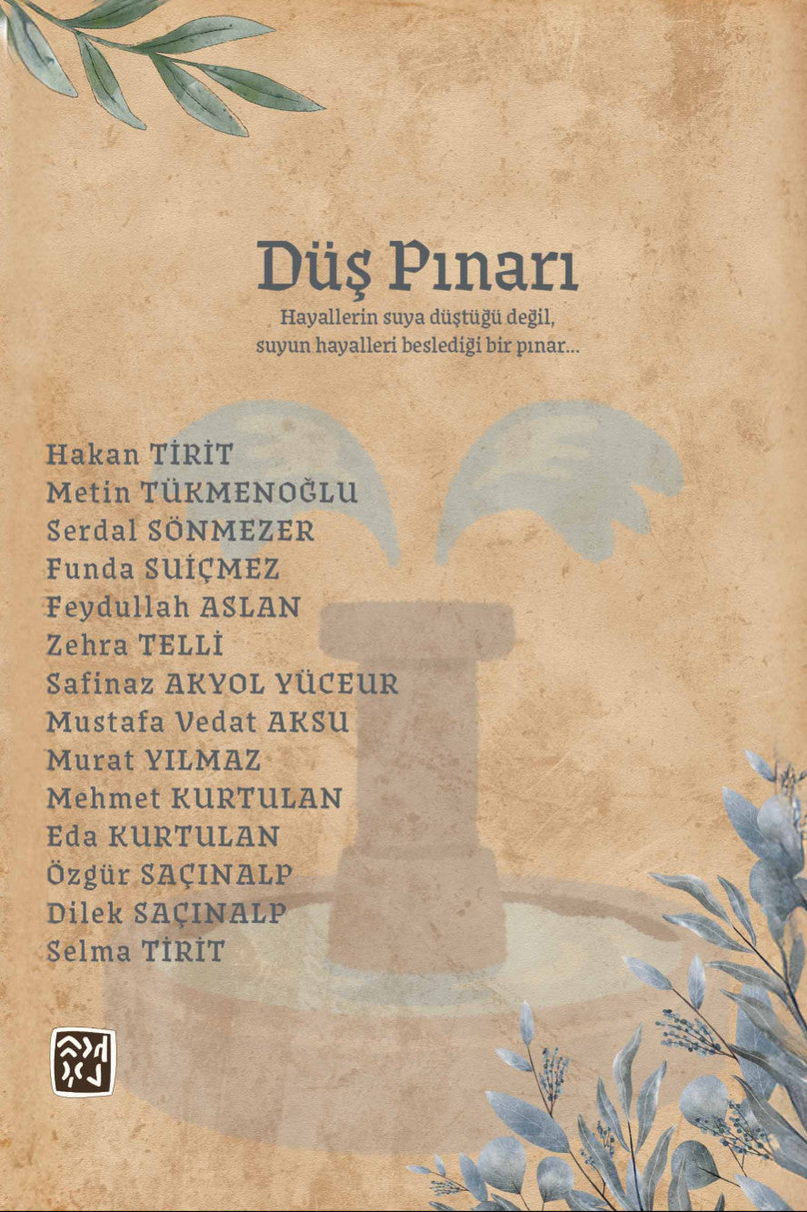 Düş Pınarı - Funda Suiçmez kitap kapağı