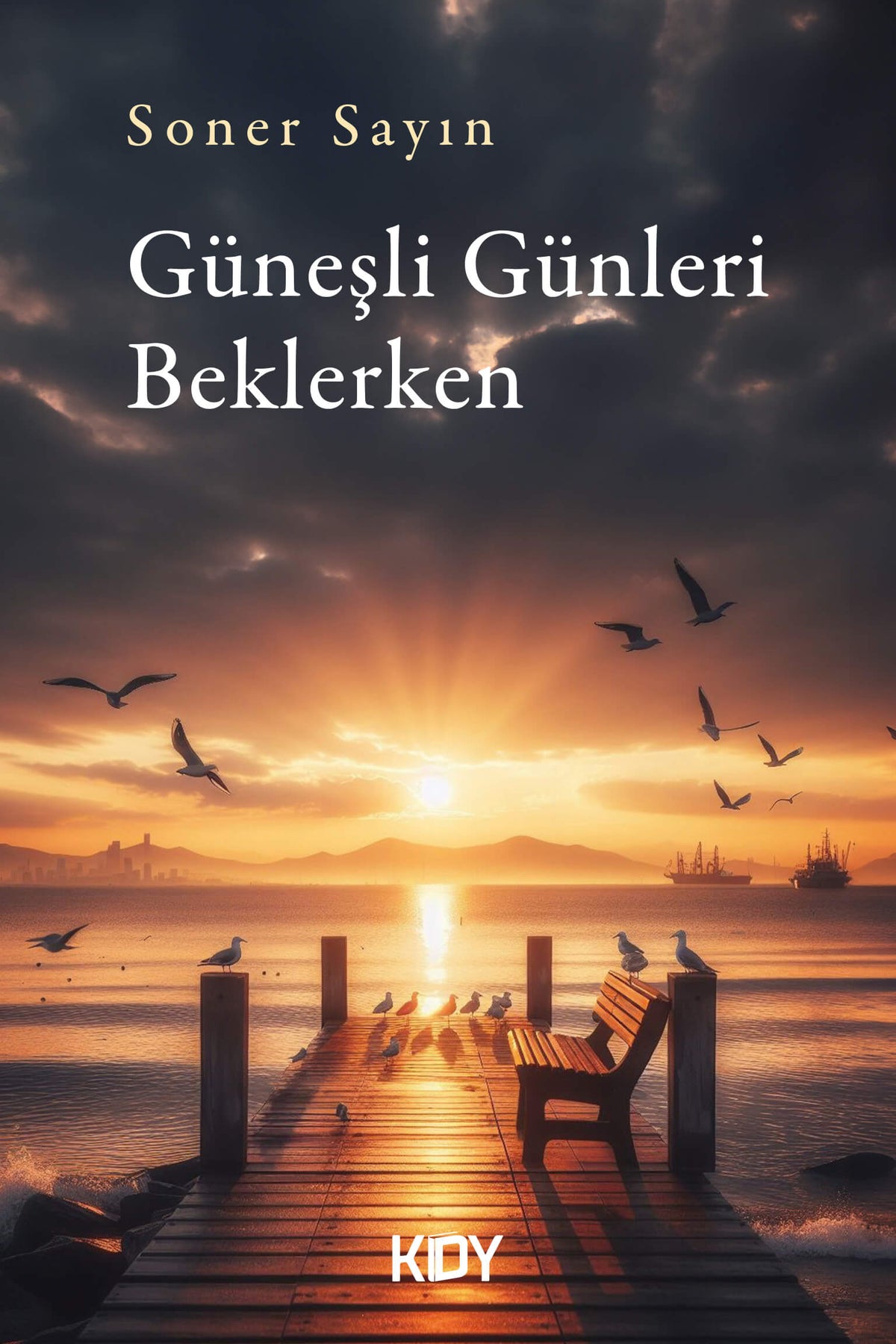 Güneşli Günleri Beklerken - Soner Sayın kitap kapağı
