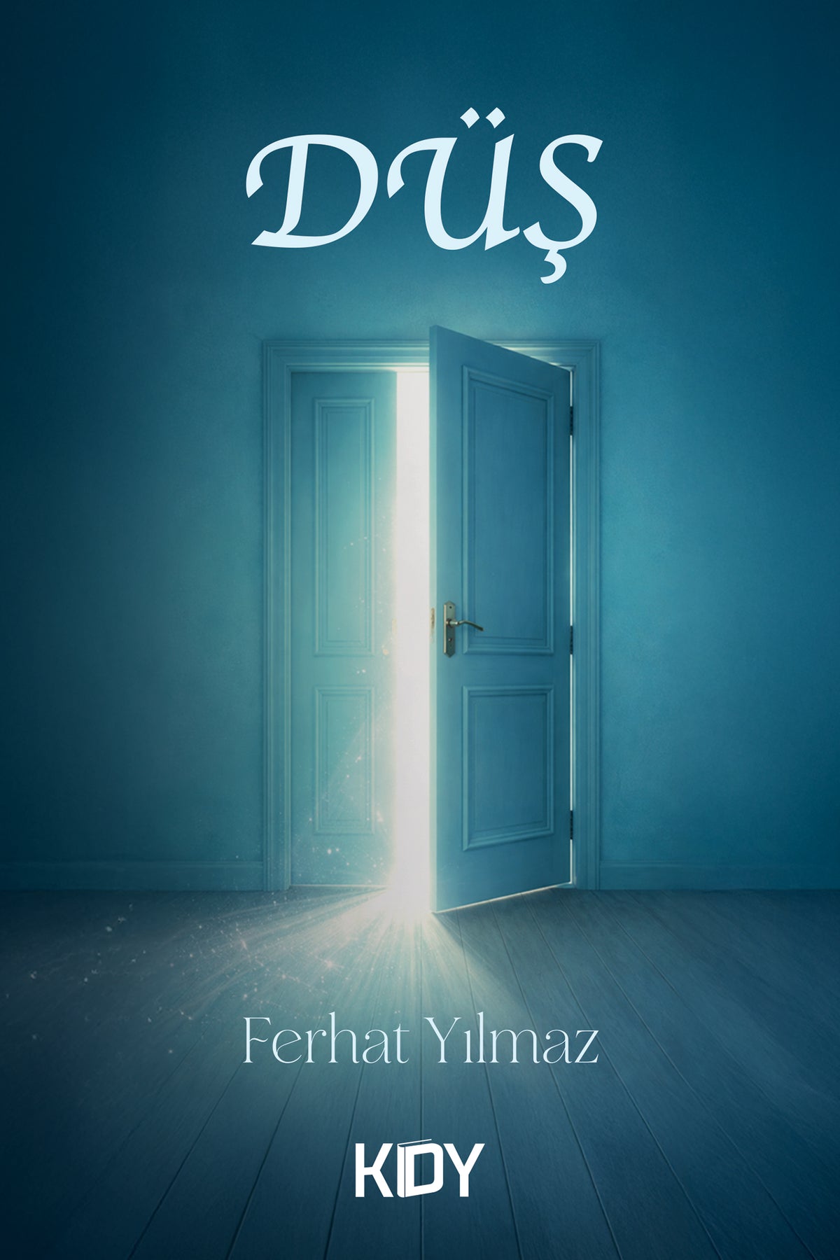Düş - Ferhat Yılmaz kitap kapağı