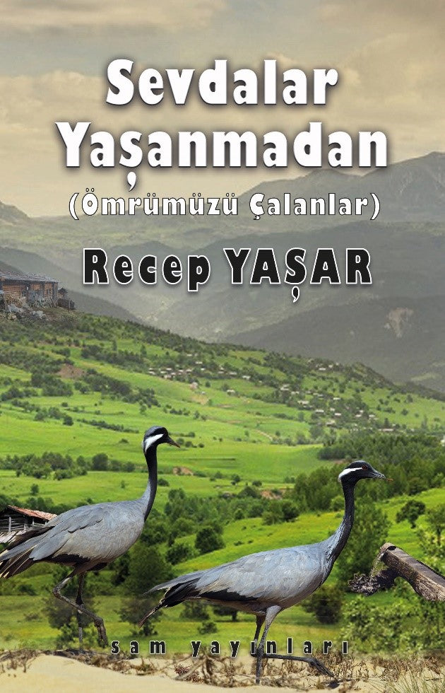 Sevdalar Yaşanmadan (Ömrümüzü Çalanlar) - Recep Yaşar kitap kapağı