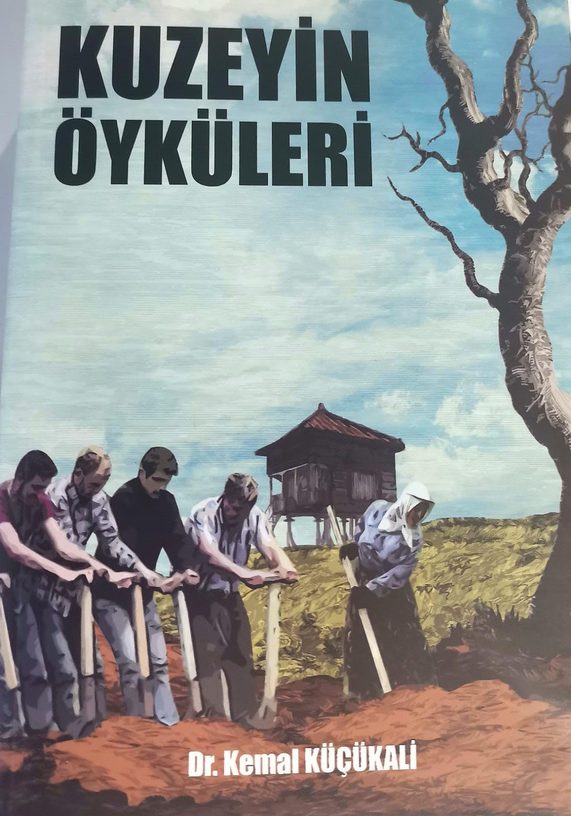 Kuzeyin Öyküleri - Dr. Kemal Küçükali kitap kapağı