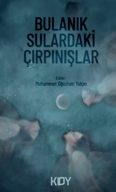 Bulanık Sulardaki Çırpınışlar - Muhammet Oğuzhan Yalçın kitap kapağı
