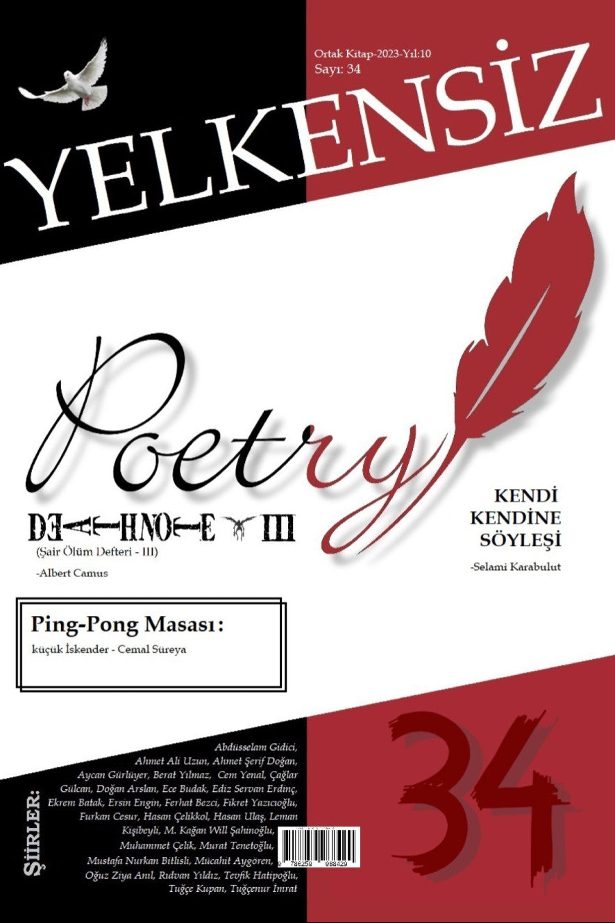 Yelkensiz 34 - Furkan Çirkin kitap kapağı