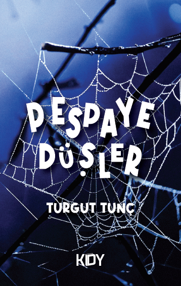 Pespaye Düşler - Turgut Tunç kitap kapağı