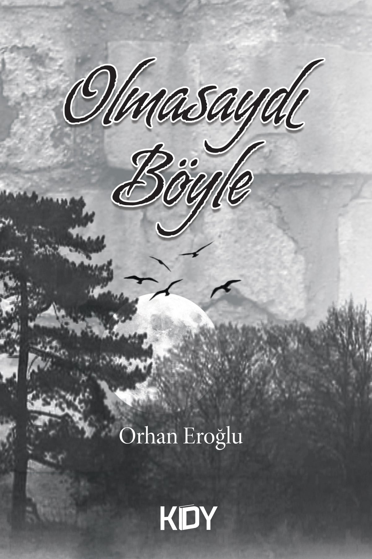 Olmasaydı Böyle - Orhan Eroğlu kitap kapağı