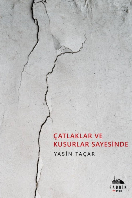 Çatlaklar ve Kusurlar Sayesinde - Yasin Taçar kitap kapağı