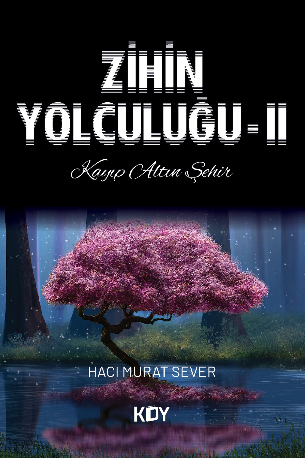 Zihin Yolculuğu 2 - Murat Sever kitap kapağı