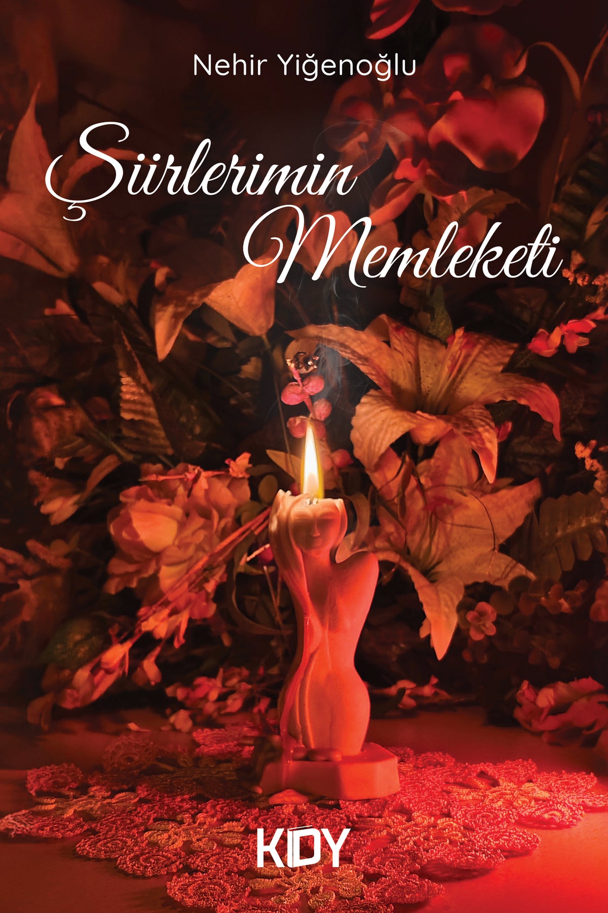 Şiirlerimin Memleketi - Nehir Yiğenoğlu kitap kapağı