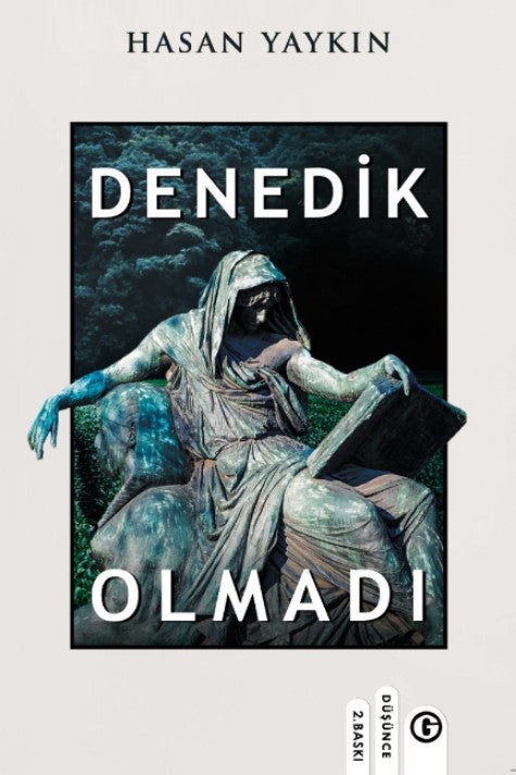 Denedik Olmadı - Hasan Yaykın kitap kapağı