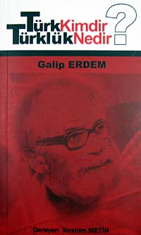 Türk Kimdir? Türklük Nedir? / 3-D-33 - Galip Erdem kitap kapağı