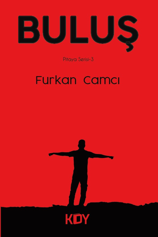Buluş - Furkan Camcı kitap kapağı