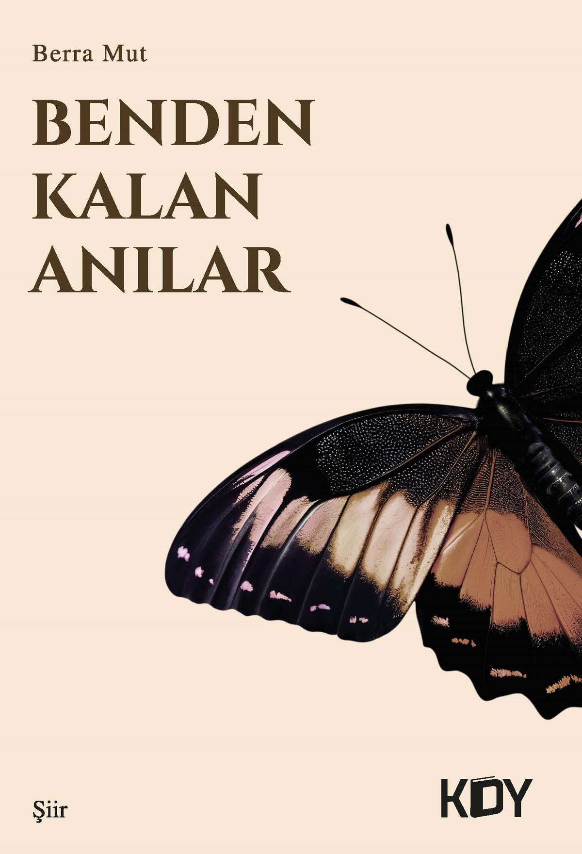 Benden Kalan Anılar - Berra Mut kitap kapağı