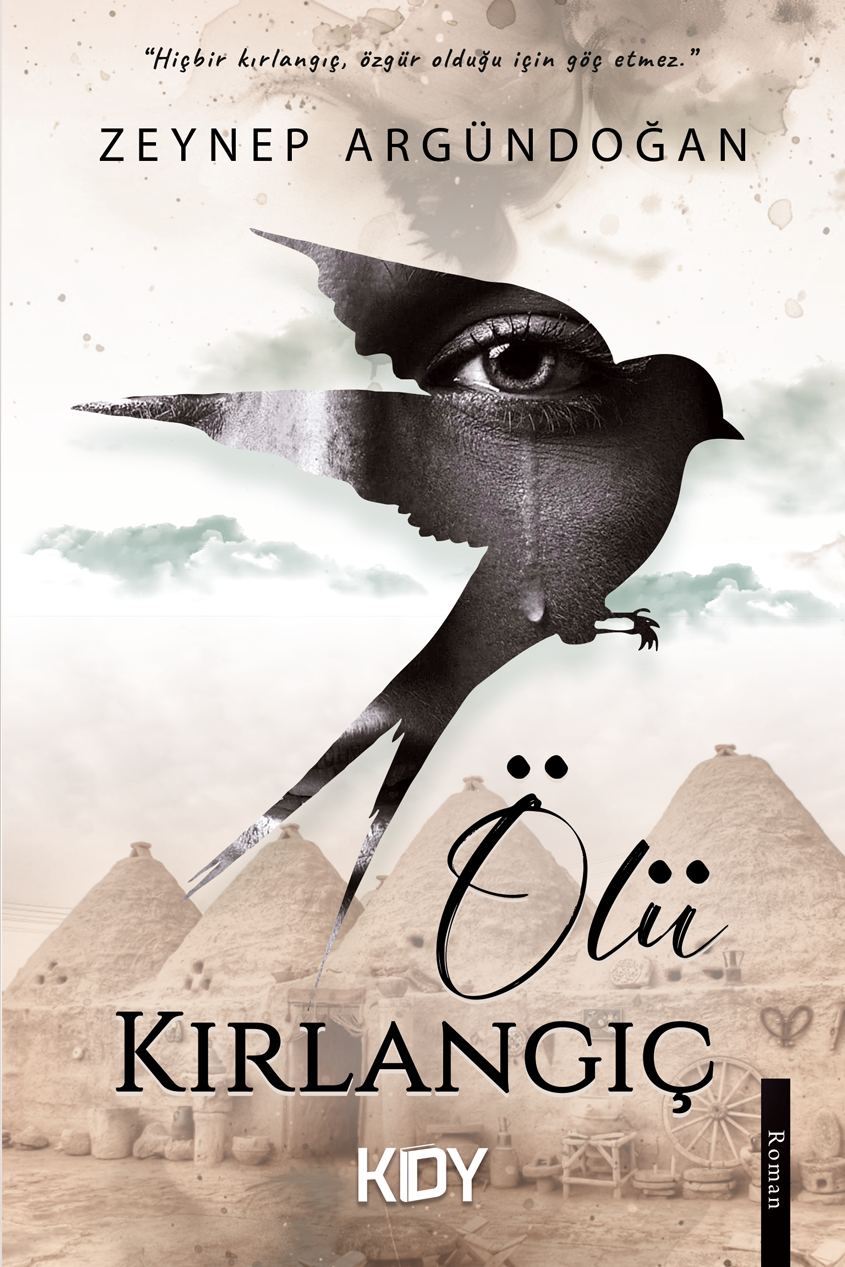 Ölü Kırlangıç - Zeynep Argündoğan kitap kapağı