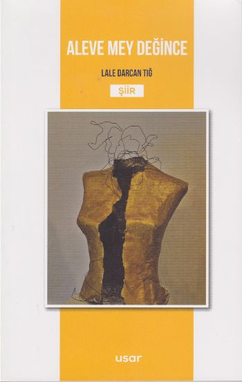 Aleve Mey Değince - Lale Darcan Tığ kitap kapağı