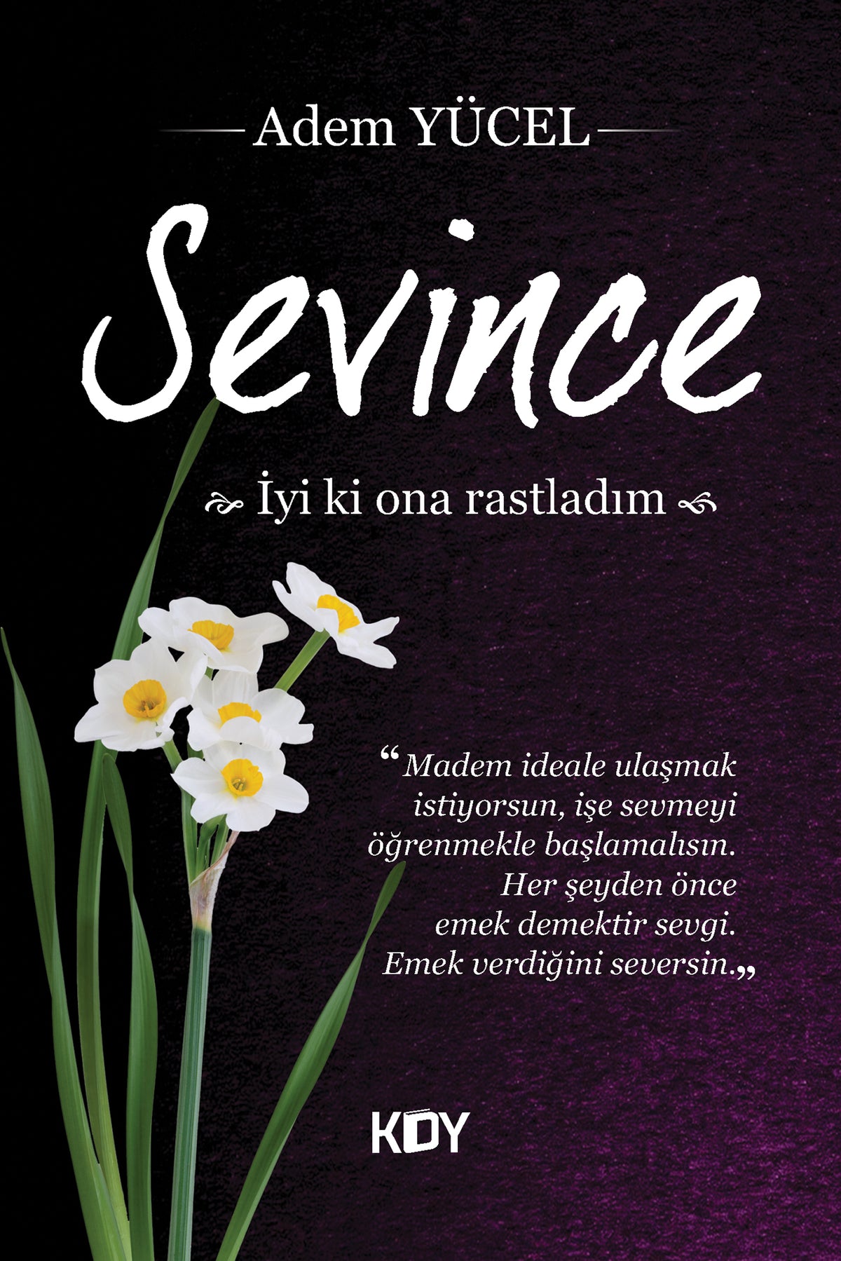 Sevince - Adem Yücel kitap kapağı