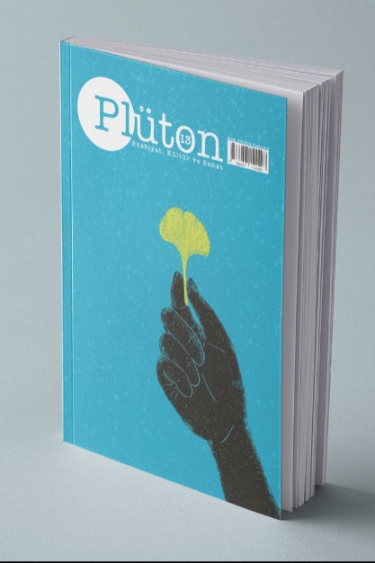 Plüton Edebiyat, Kültür ve Sanat Dergisi Sayı:13 - Kolektif kitap kapağı