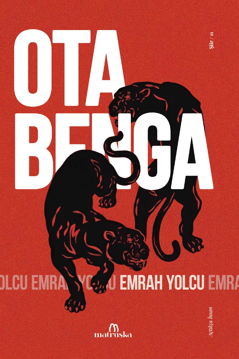Ota Benga - Emrah Yolcu kitap kapağı