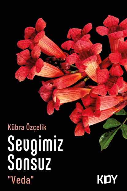 Sevgimiz Sonsuz "Veda" - Kübra Özçelik kitap kapağı