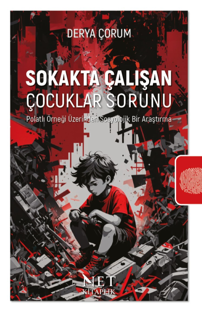 Sokakta Çalışan Çocuklar Sorunu Polatlı Örneği Üzerinden Sosyolojik Bir Araştırma - Derya Çorum kitap kapağı