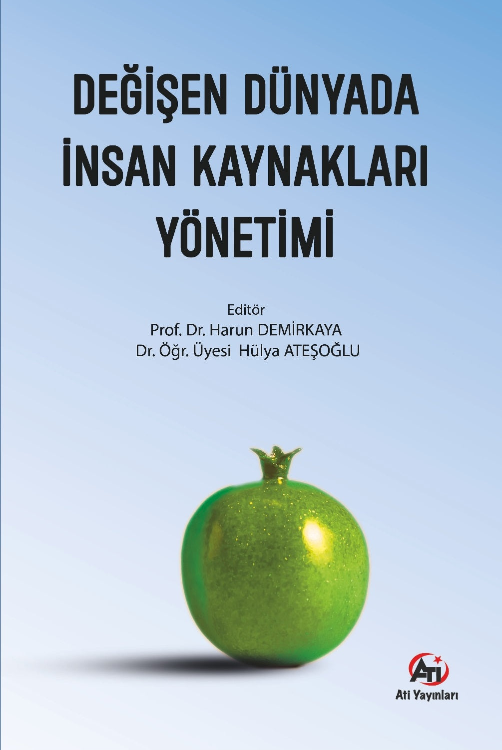 Değişen Dünyada İnsan Kaynakları Yönetimi - Doç. Dr. Harun Demirkaya kitap kapağı