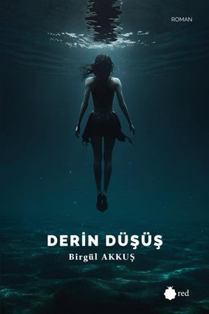 Derin Düşüş - Birgül Akkuş kitap kapağı