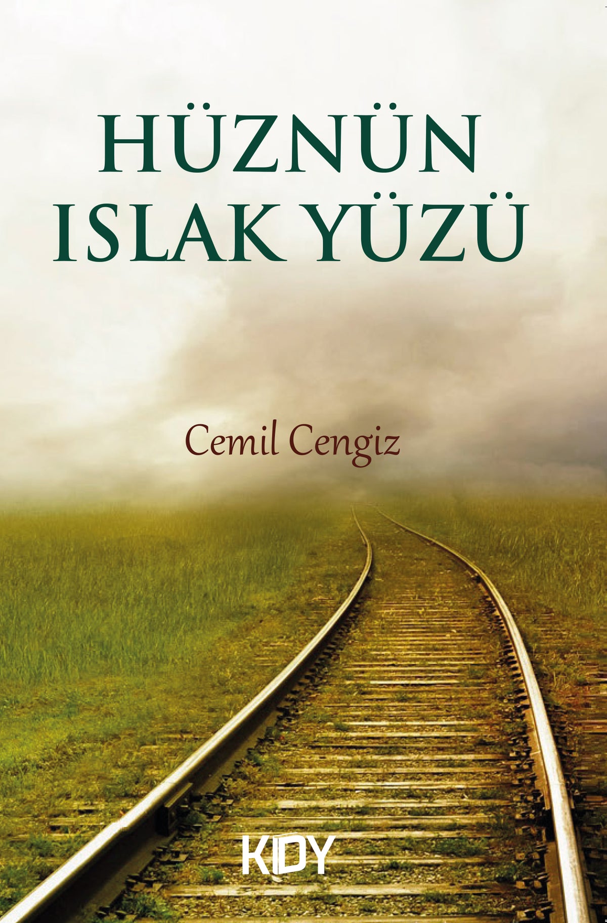 Hüznün Islak Yüzü - Cemil Cengiz kitap kapağı