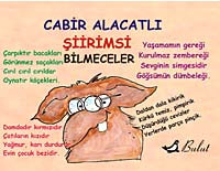 Şiirimsi Bilmeceler - Cabir Alacatlı kitap kapağı