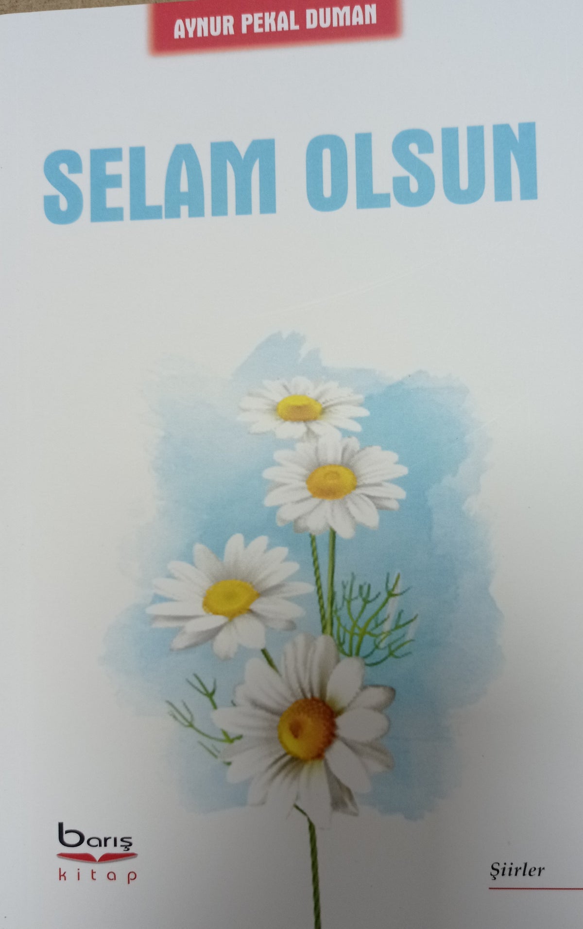 Selam Olsun - Aynur Pekal Duman kitap kapağı