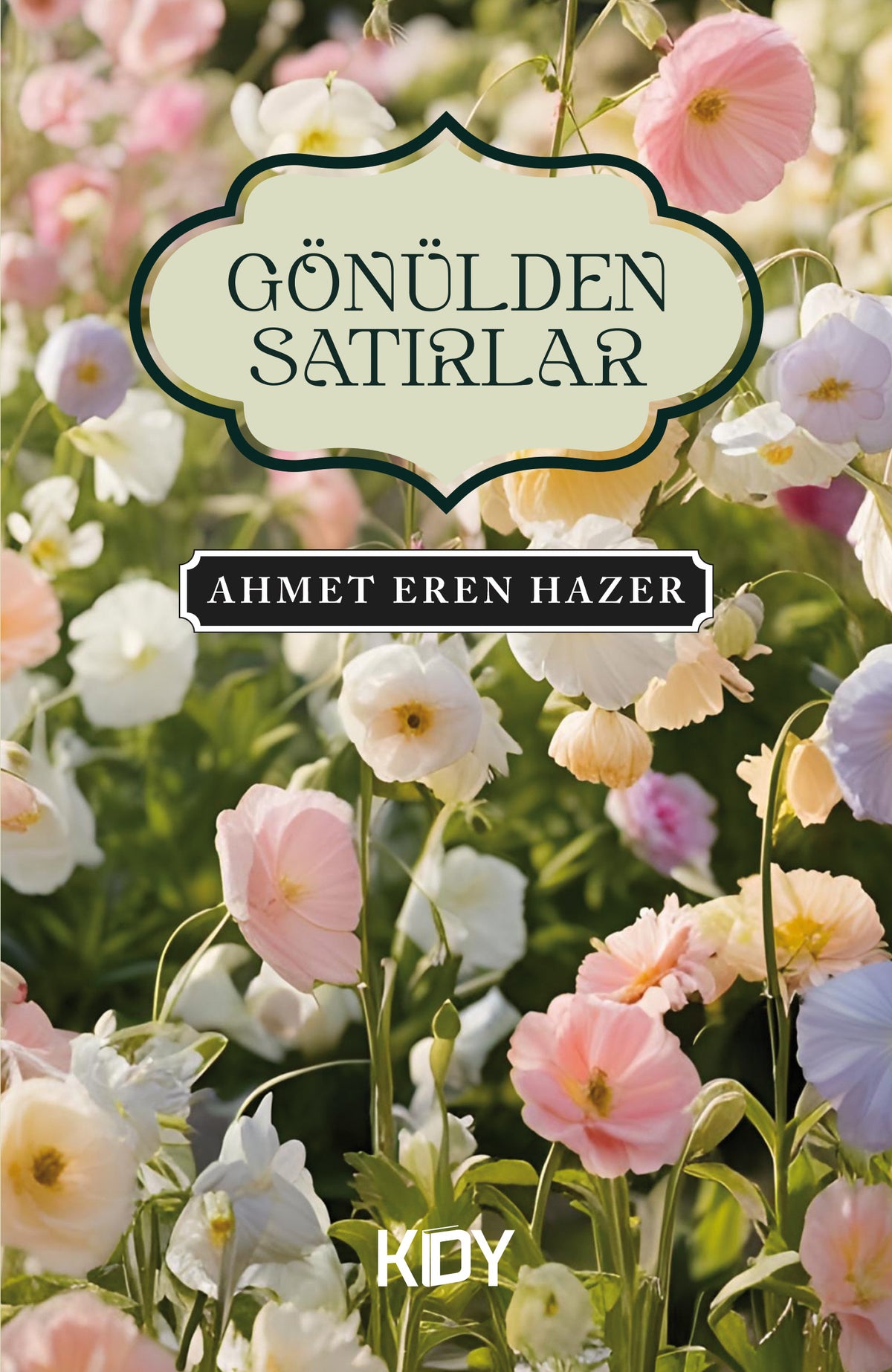 Gönülden Satırlar - Ahmet Eren Hazer kitap kapağı