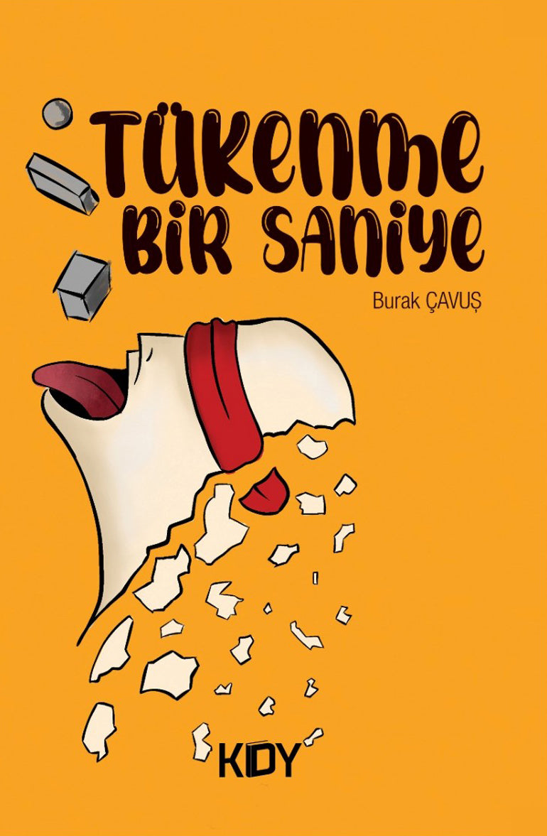 Tükenme Bir Saniye - Burak Çavuş kitap kapağı